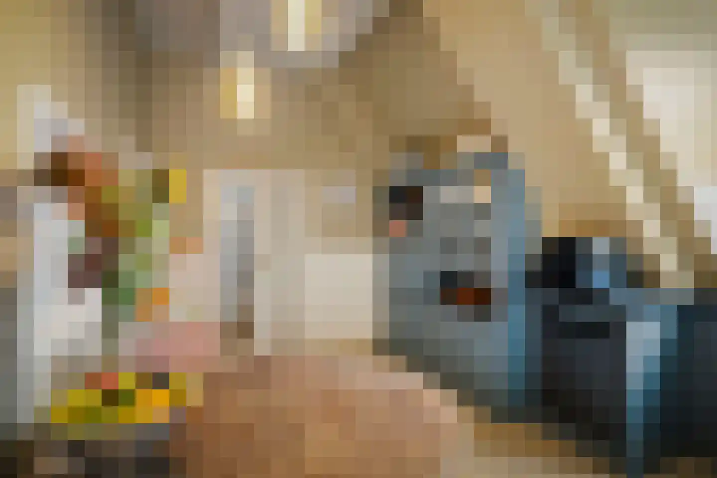 Diepenveenseweg 1 b Olst thumbnail 36