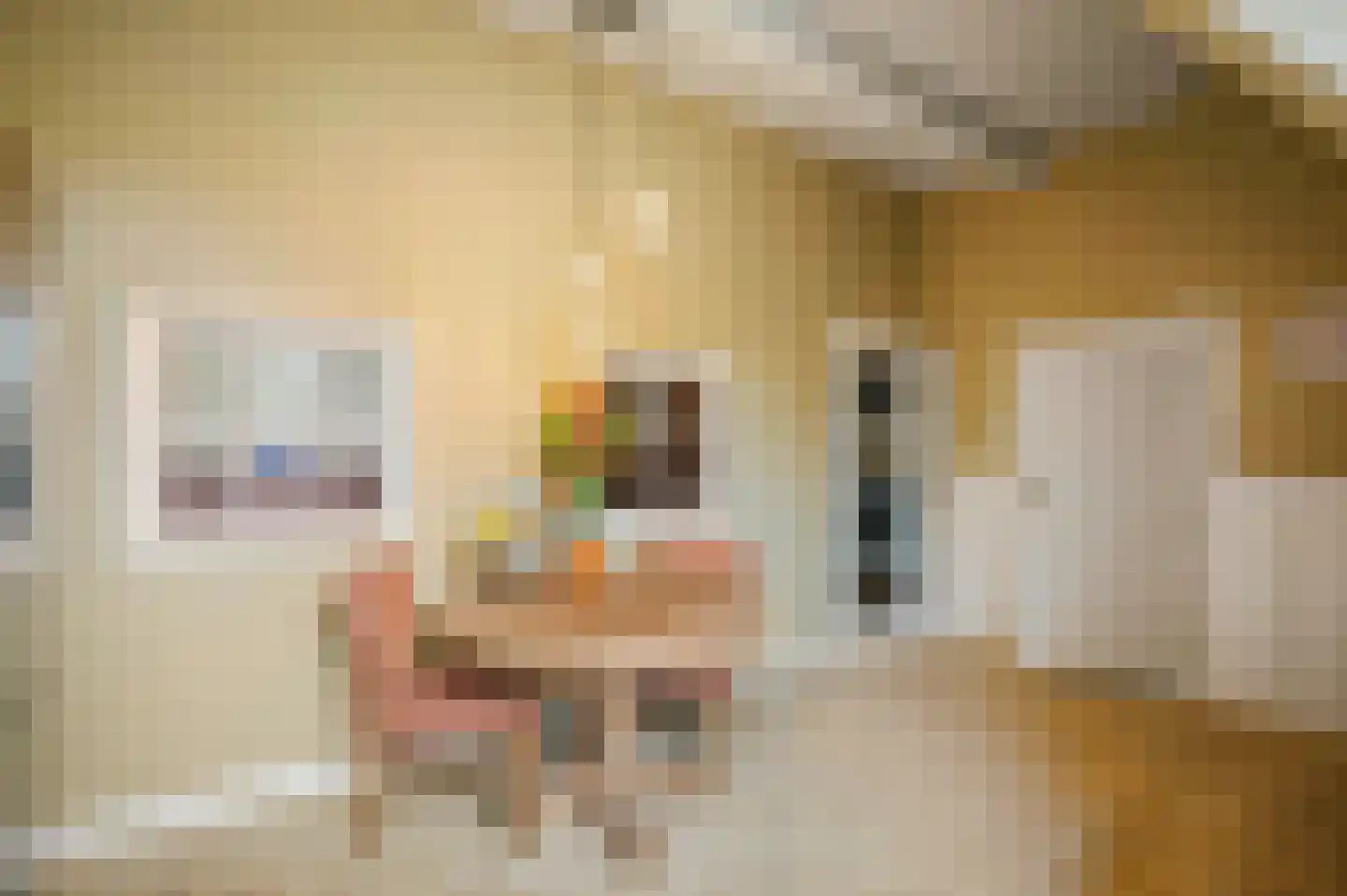 Diepenveenseweg 1 b Olst thumbnail 37