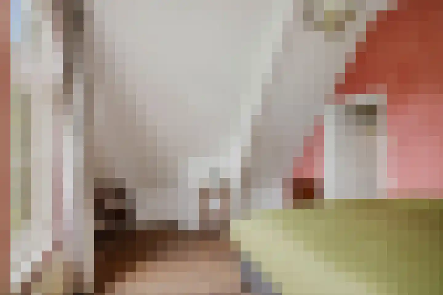 Diepenveenseweg 1 b Olst thumbnail 43