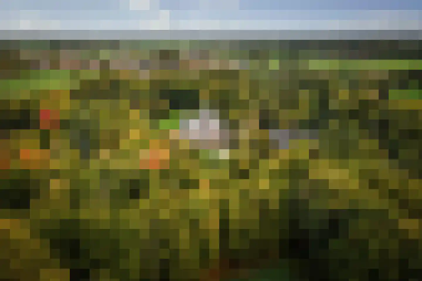 Diepenveenseweg 1 b Olst thumbnail 46