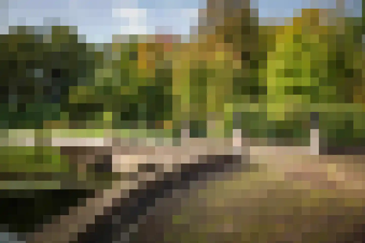 Diepenveenseweg 1 b Olst thumbnail 50