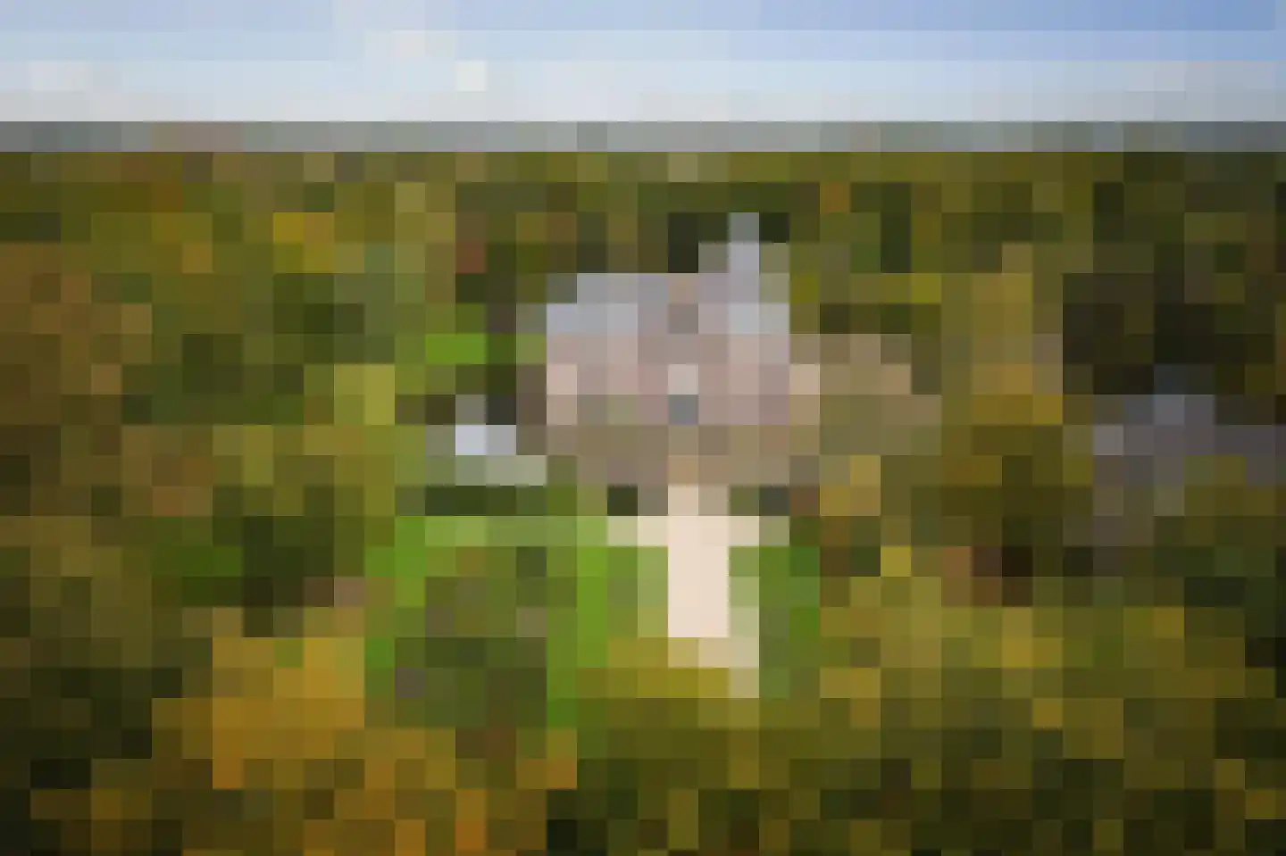 Diepenveenseweg 1 b Olst thumbnail 52
