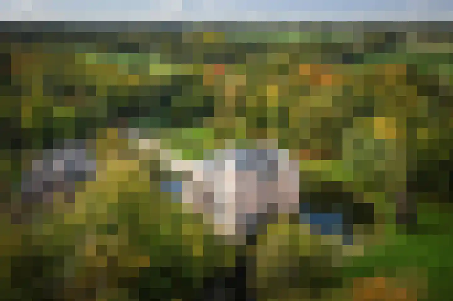 Diepenveenseweg 1 b Olst thumbnail 53