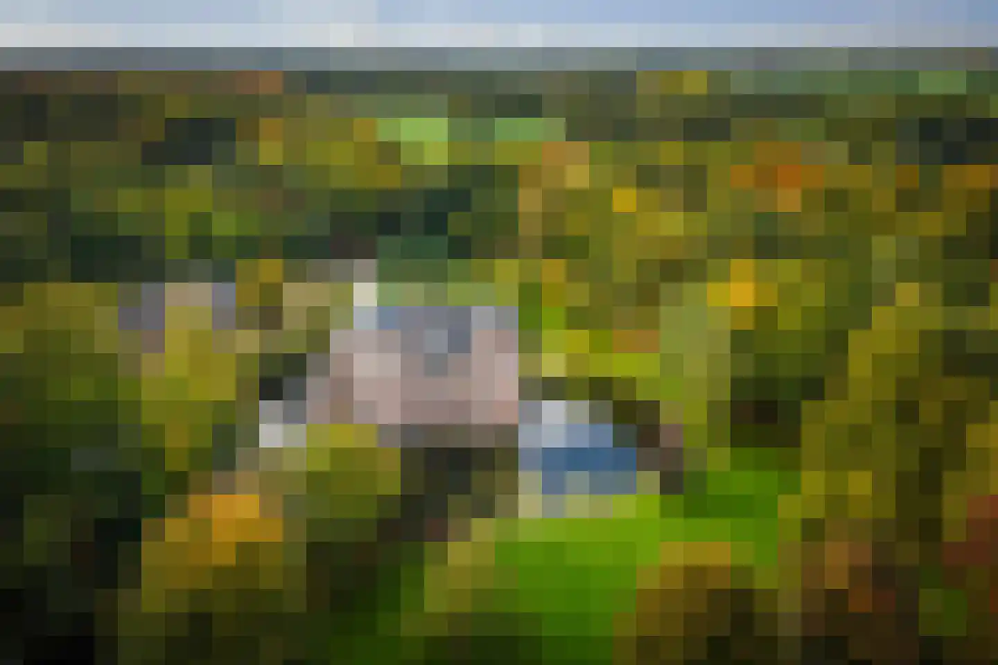 Diepenveenseweg 1 b Olst thumbnail 54