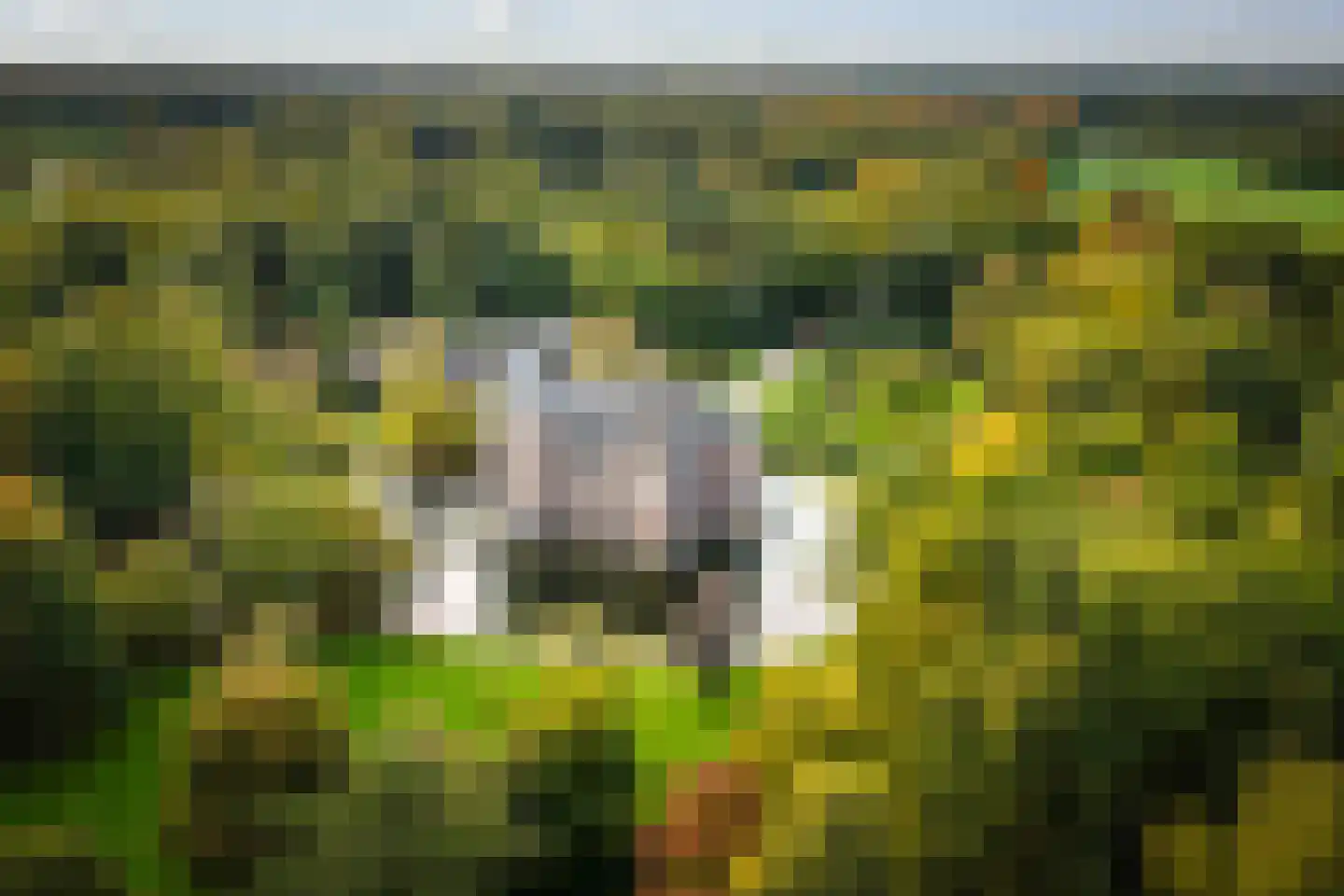 Diepenveenseweg 1 b Olst thumbnail 55