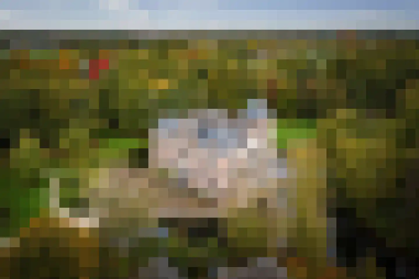 Diepenveenseweg 1 b Olst thumbnail 56