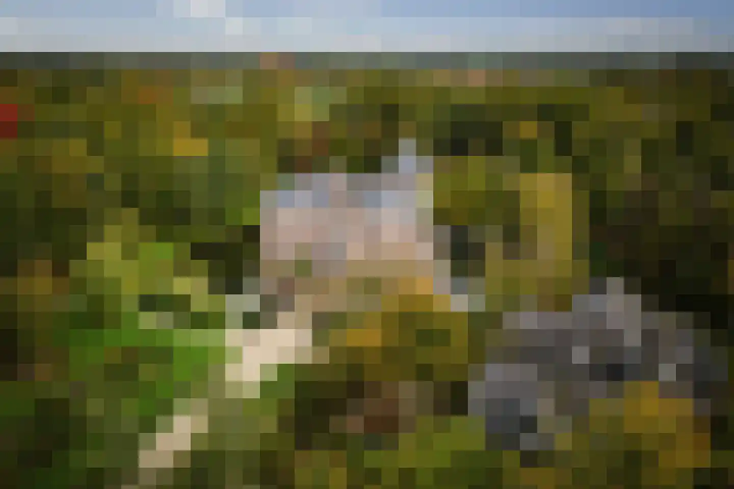 Diepenveenseweg 1 b Olst thumbnail 57