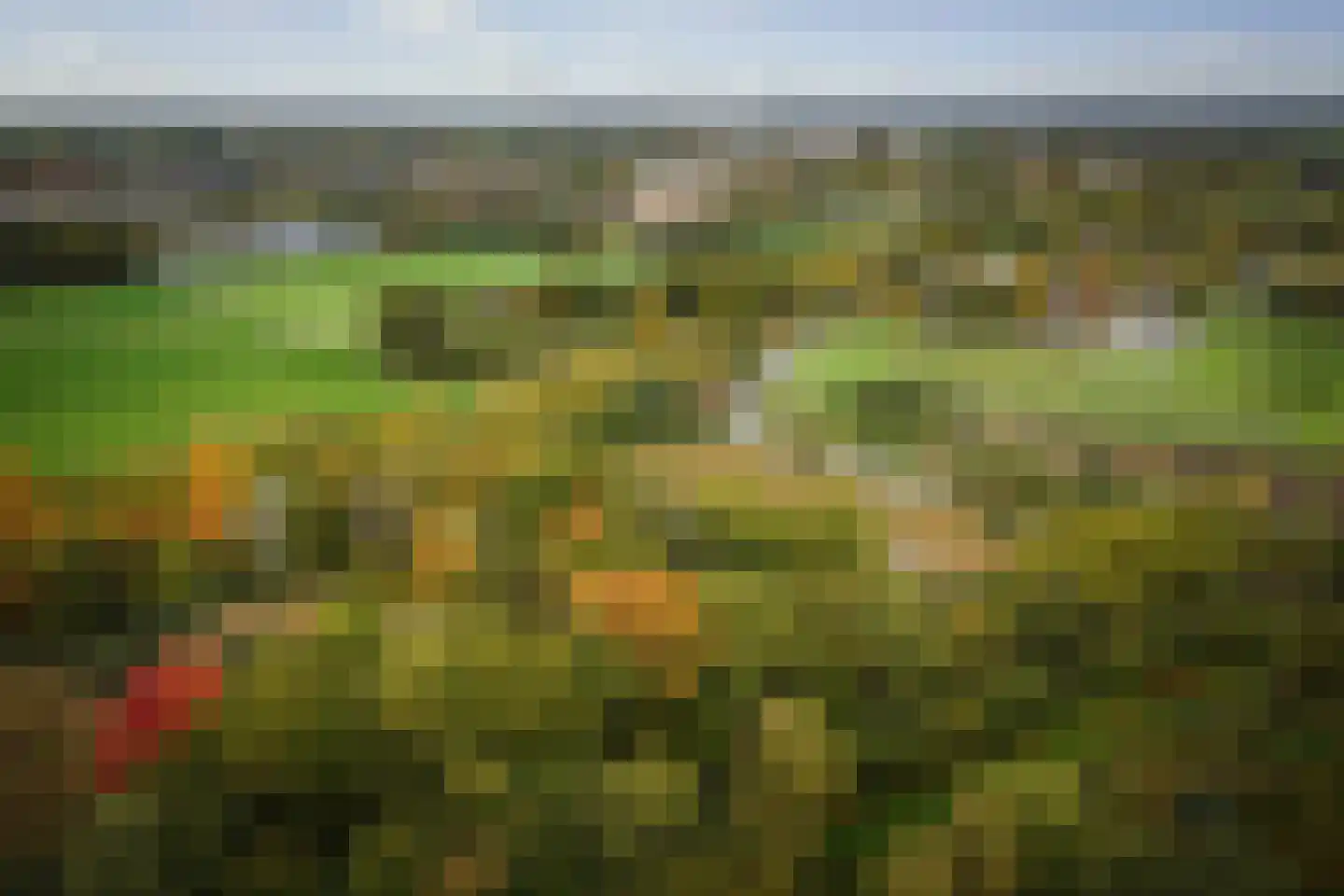 Diepenveenseweg 1 b Olst thumbnail 59