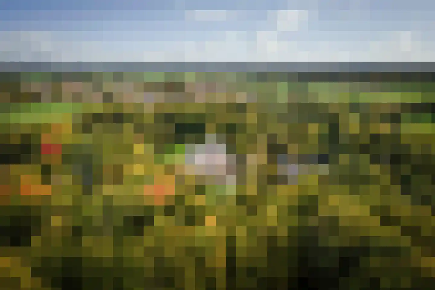 Diepenveenseweg 1 b Olst thumbnail 60