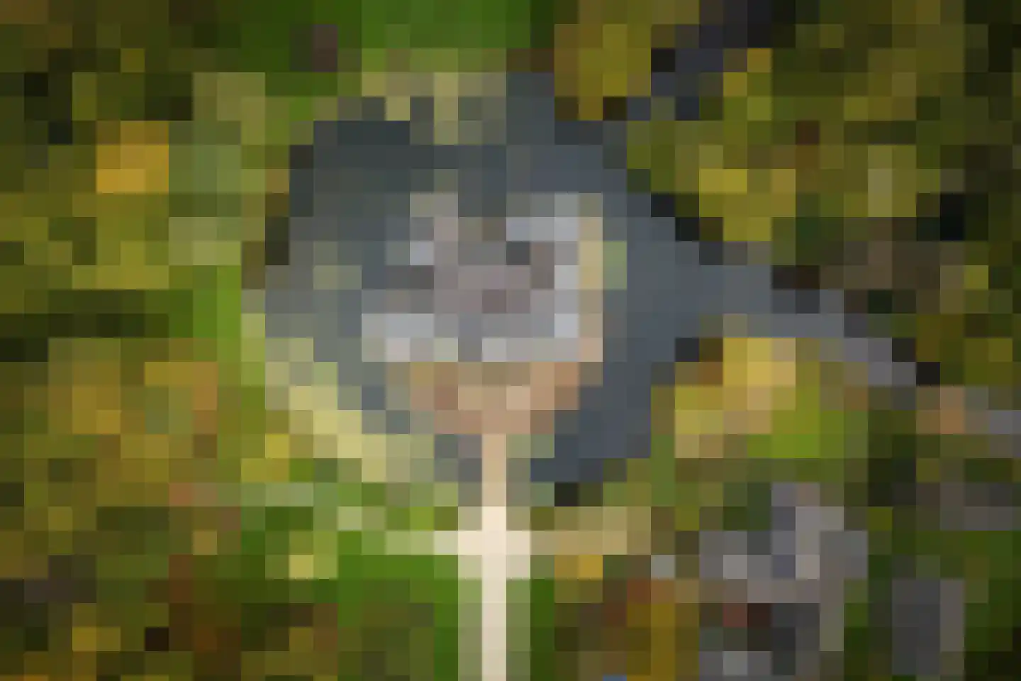 Diepenveenseweg 1 b Olst thumbnail 61