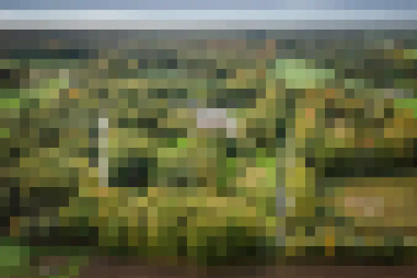 Diepenveenseweg 1 b Olst thumbnail 64