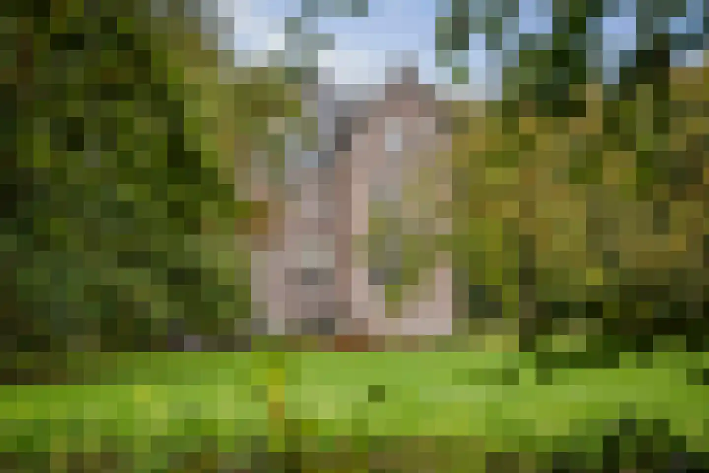 Diepenveenseweg 1 b Olst thumbnail 65