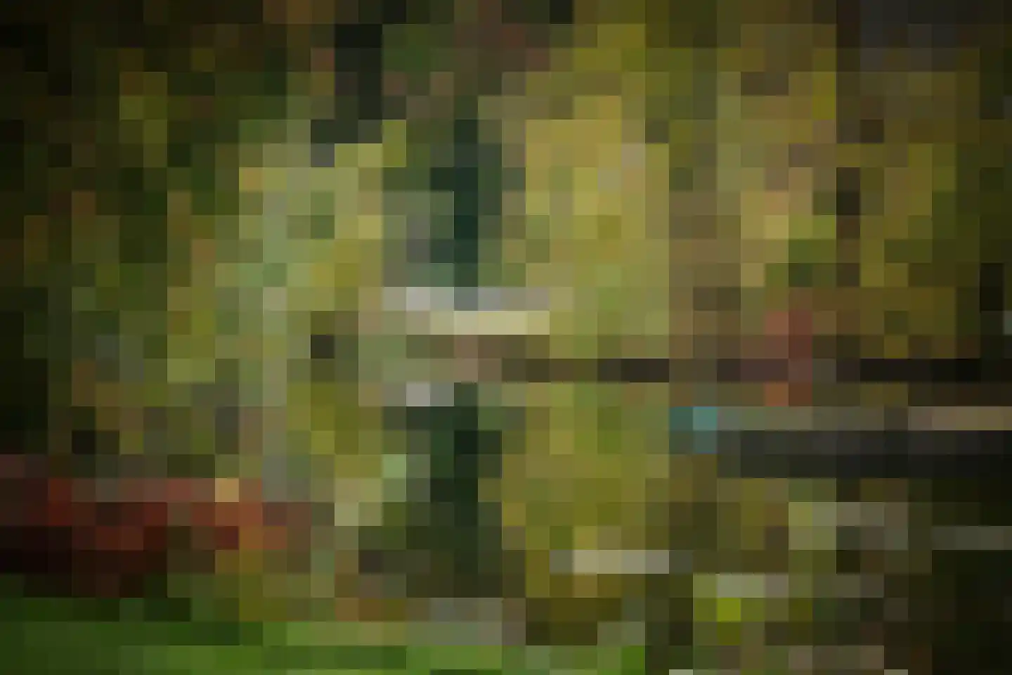 Diepenveenseweg 1 b Olst thumbnail 66