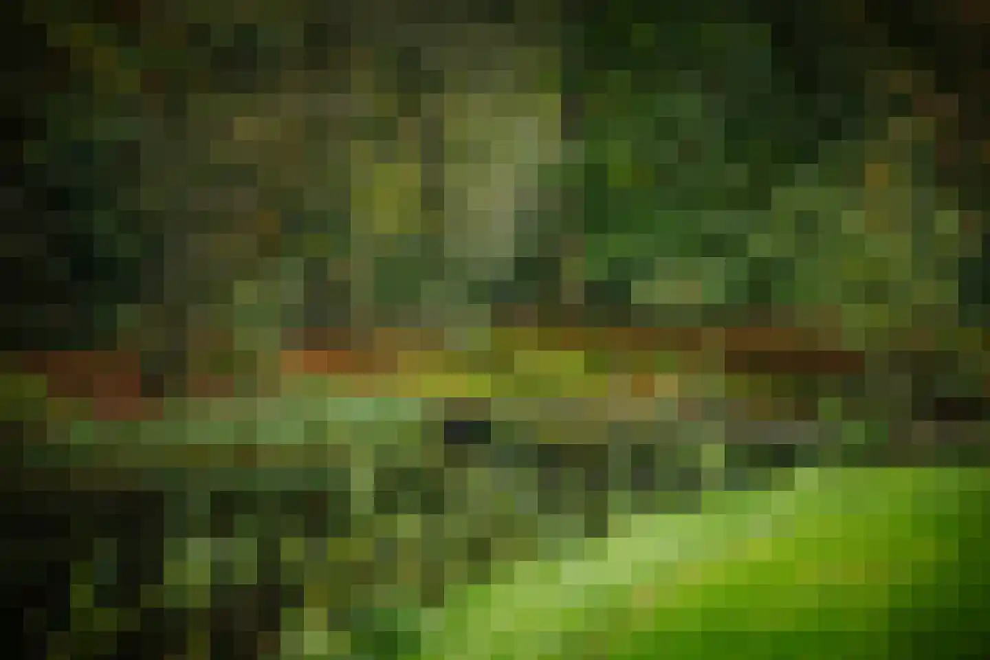 Diepenveenseweg 1 b Olst thumbnail 68