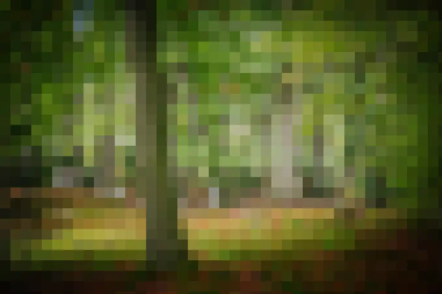 Diepenveenseweg 1 b Olst thumbnail 69