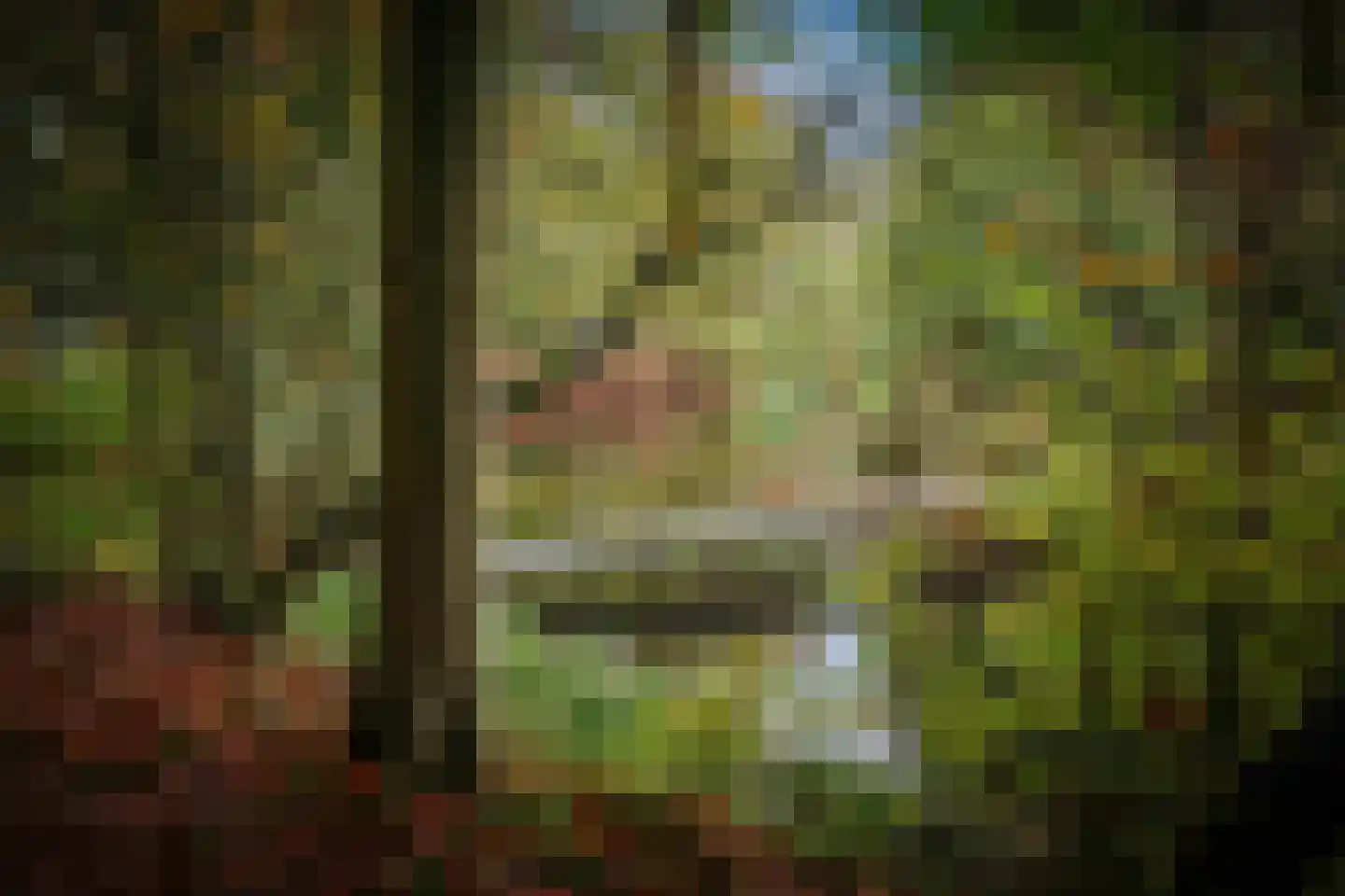 Diepenveenseweg 1 b Olst thumbnail 70