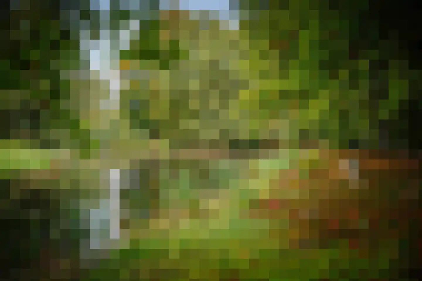 Diepenveenseweg 1 b Olst thumbnail 71