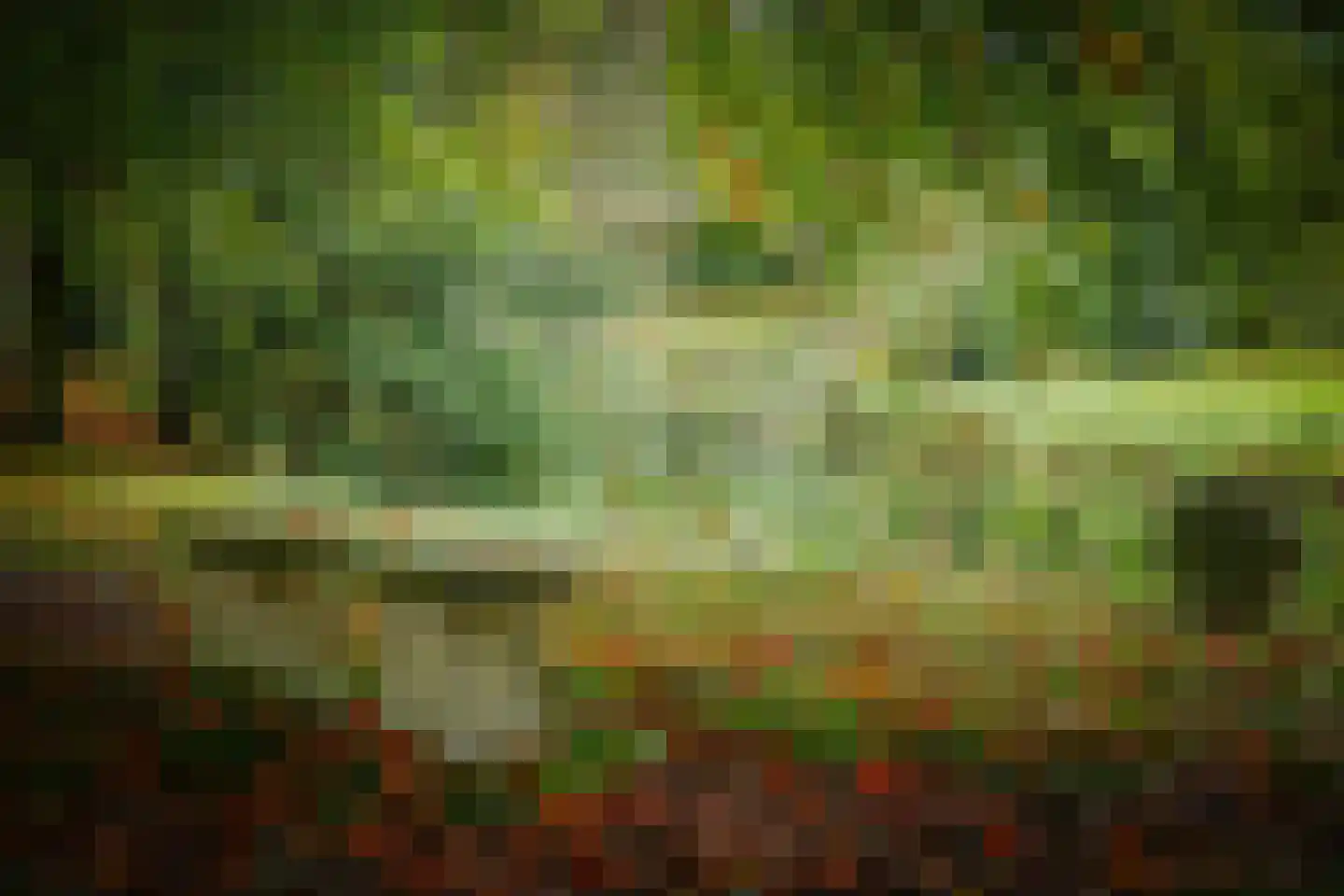 Diepenveenseweg 1 b Olst thumbnail 72