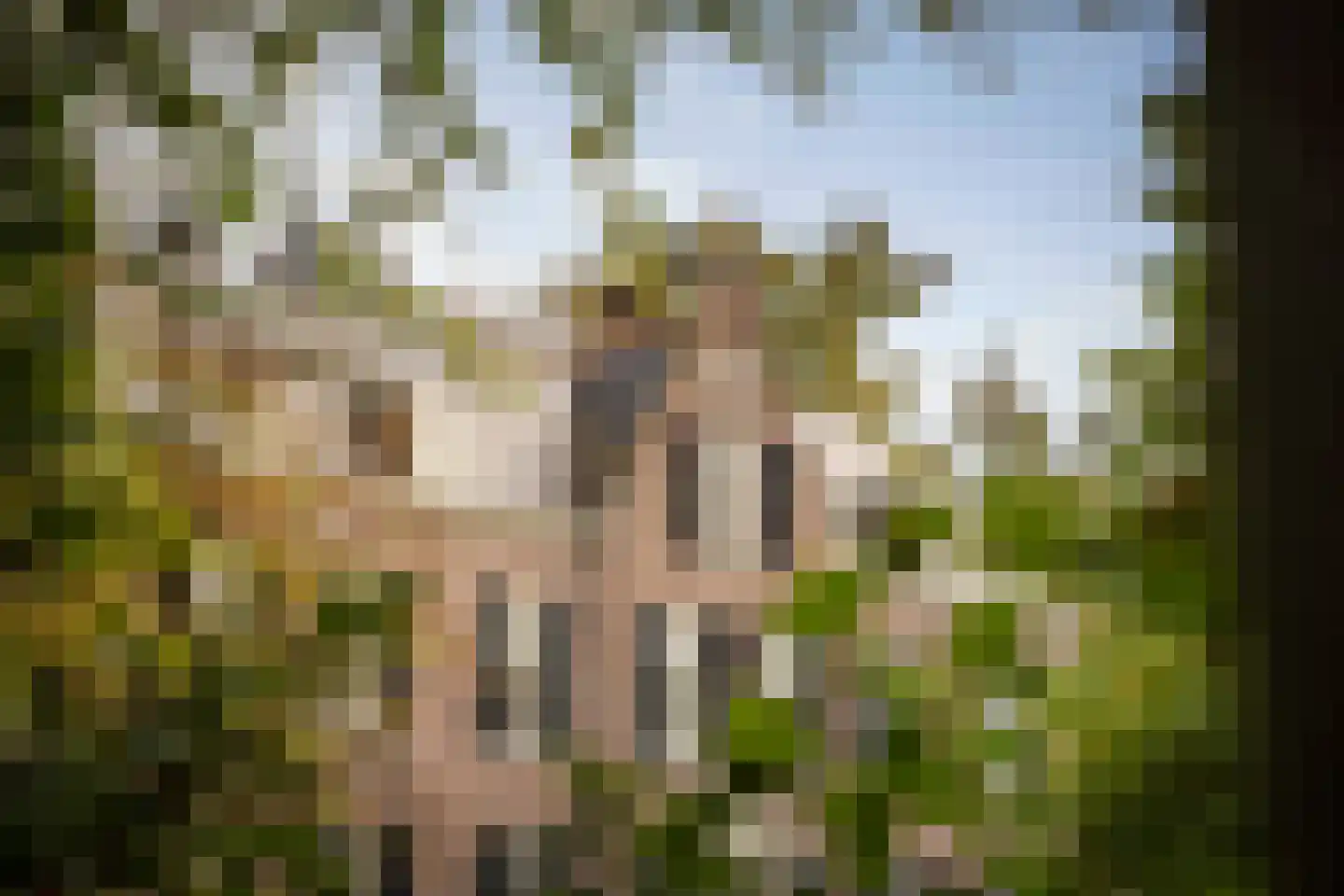 Diepenveenseweg 1 b Olst thumbnail 75