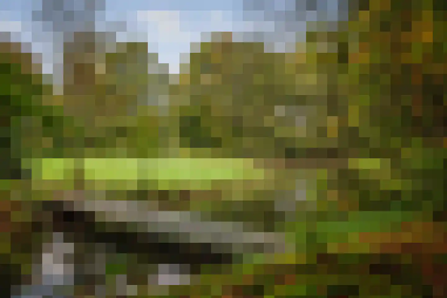 Diepenveenseweg 1 b Olst thumbnail 76