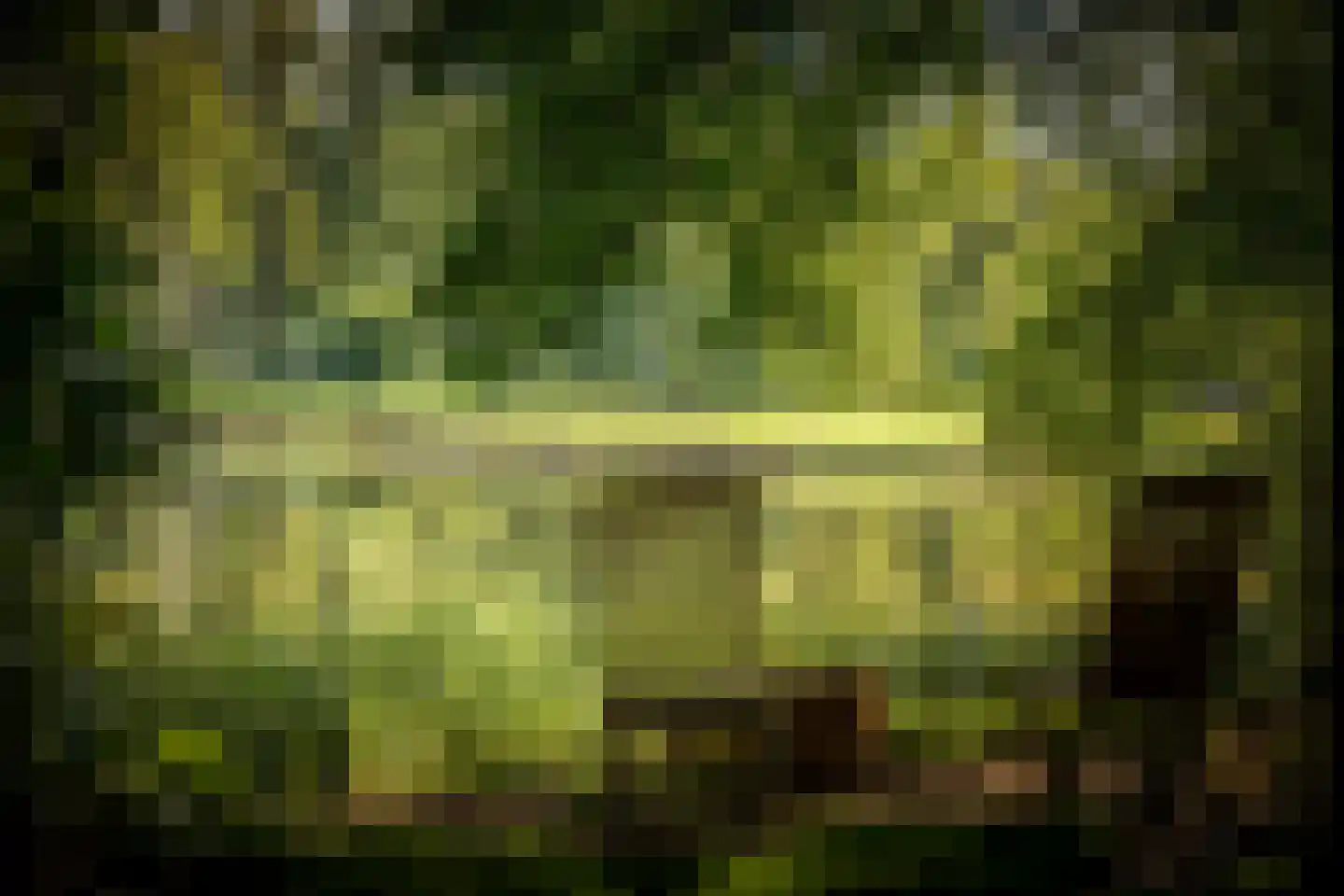Diepenveenseweg 1 b Olst thumbnail 77