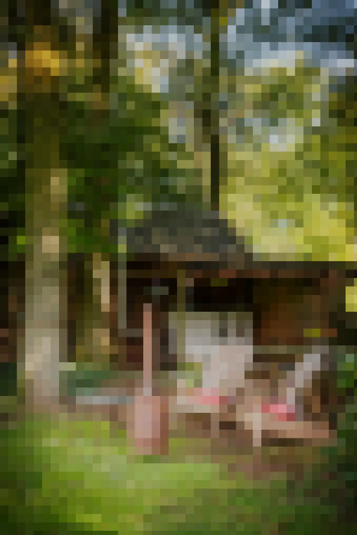 Diepenveenseweg 1 b Olst thumbnail 78