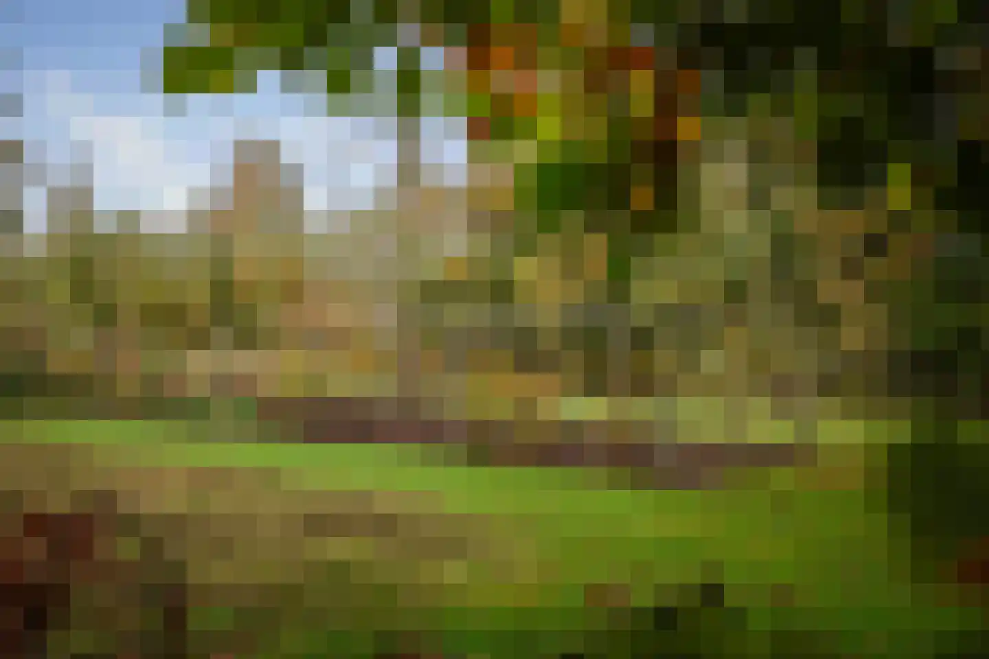 Diepenveenseweg 1 b Olst thumbnail 80