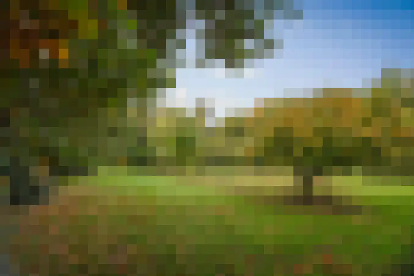 Diepenveenseweg 1 b Olst thumbnail 81