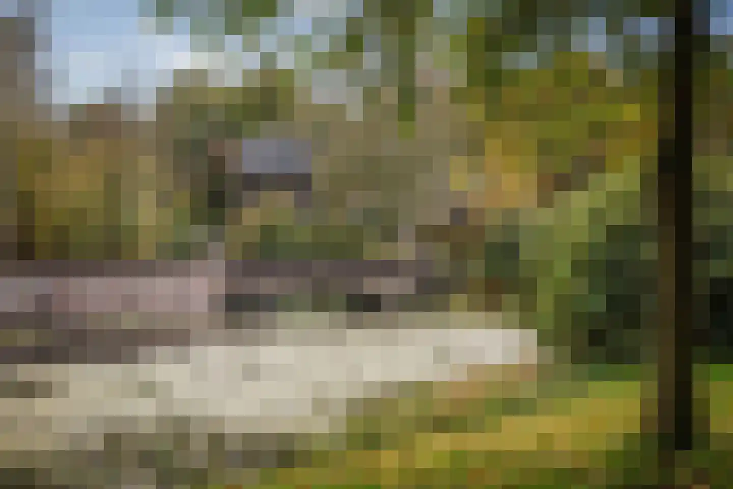 Diepenveenseweg 1 b Olst thumbnail 84