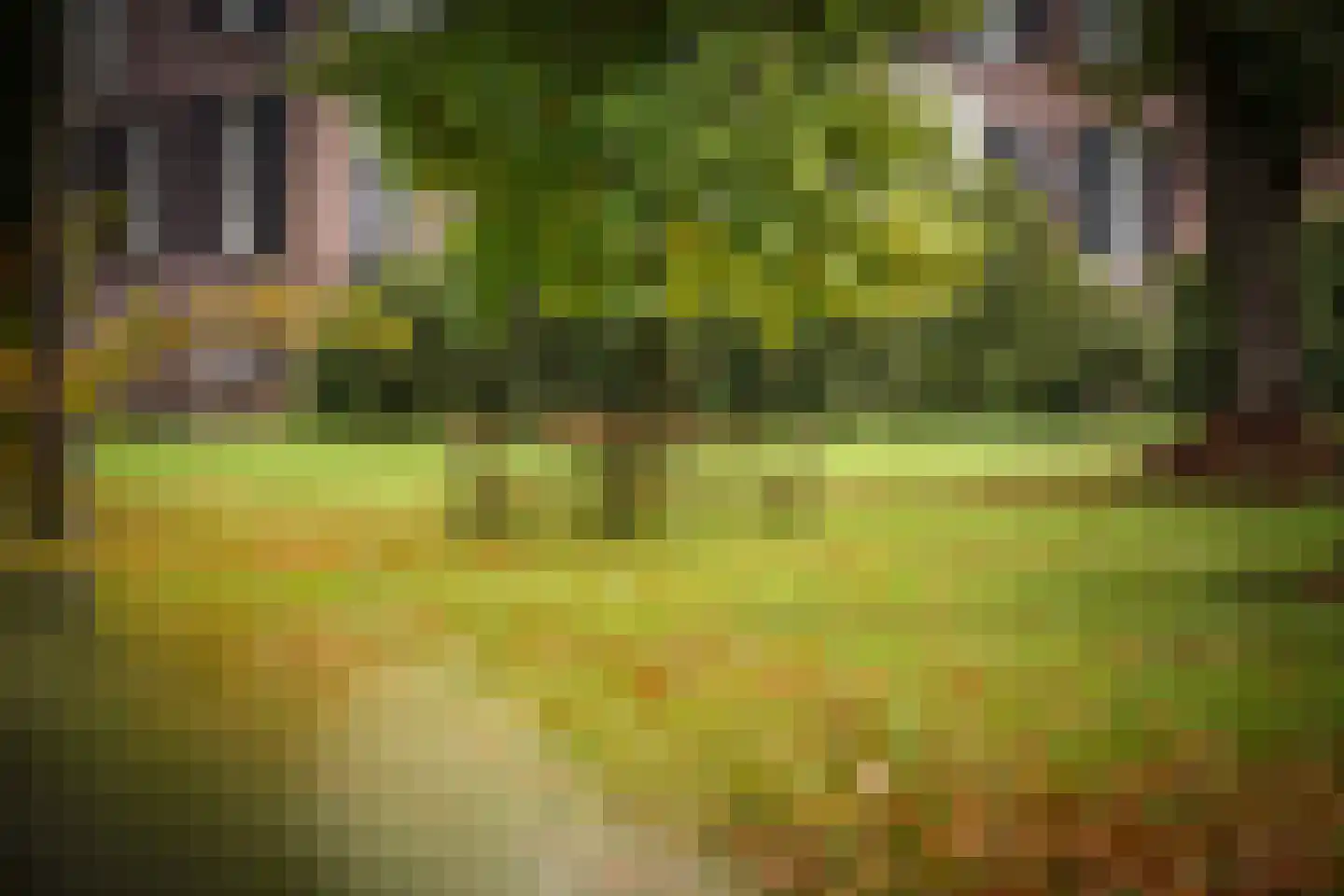 Diepenveenseweg 1 b Olst thumbnail 85