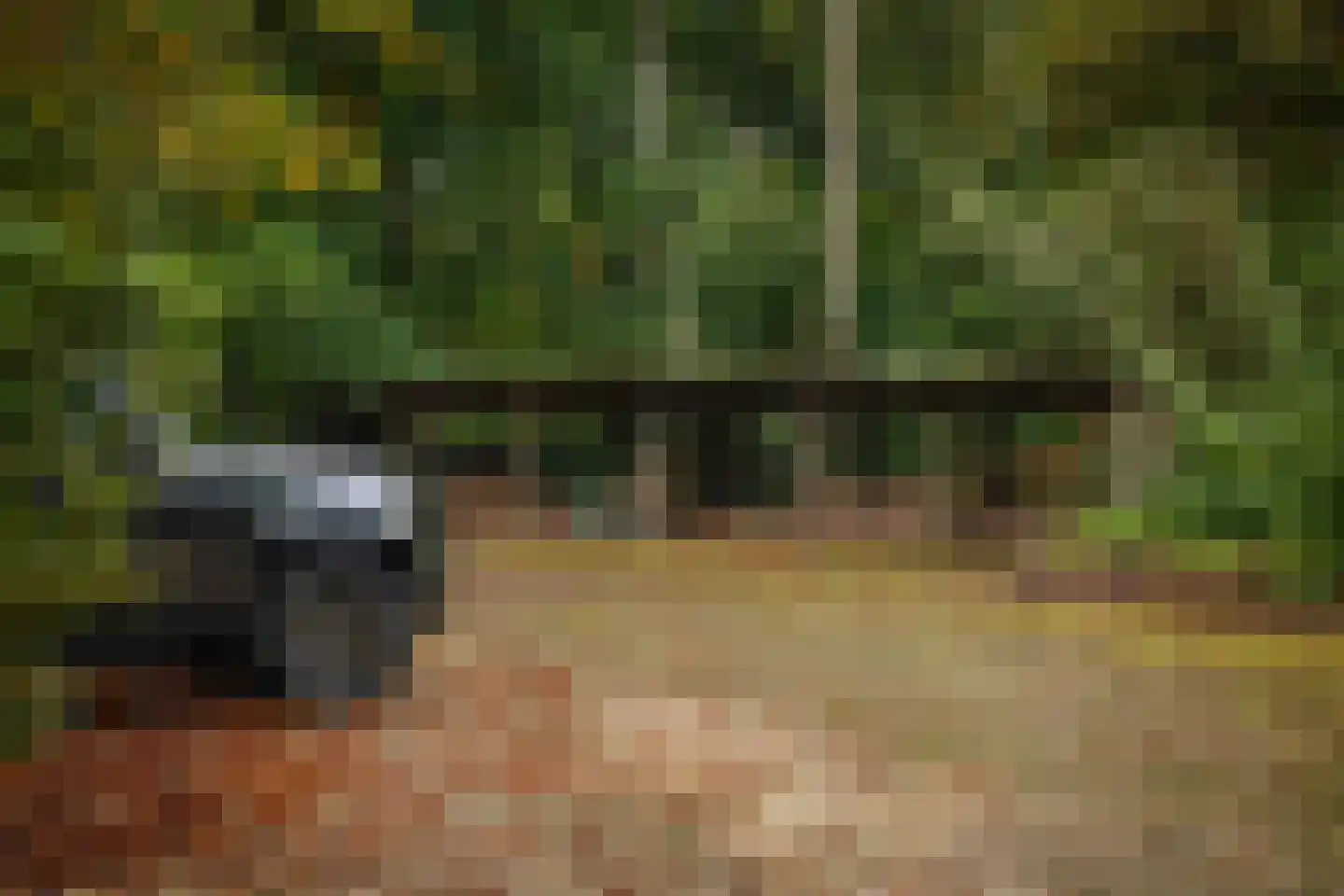 Diepenveenseweg 1 b Olst thumbnail 86