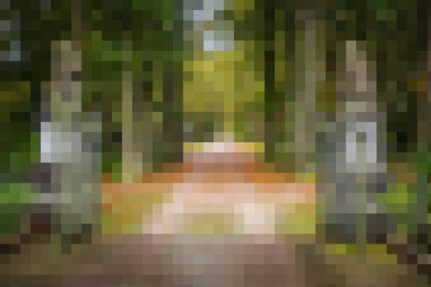 Diepenveenseweg 1 b Olst thumbnail 88