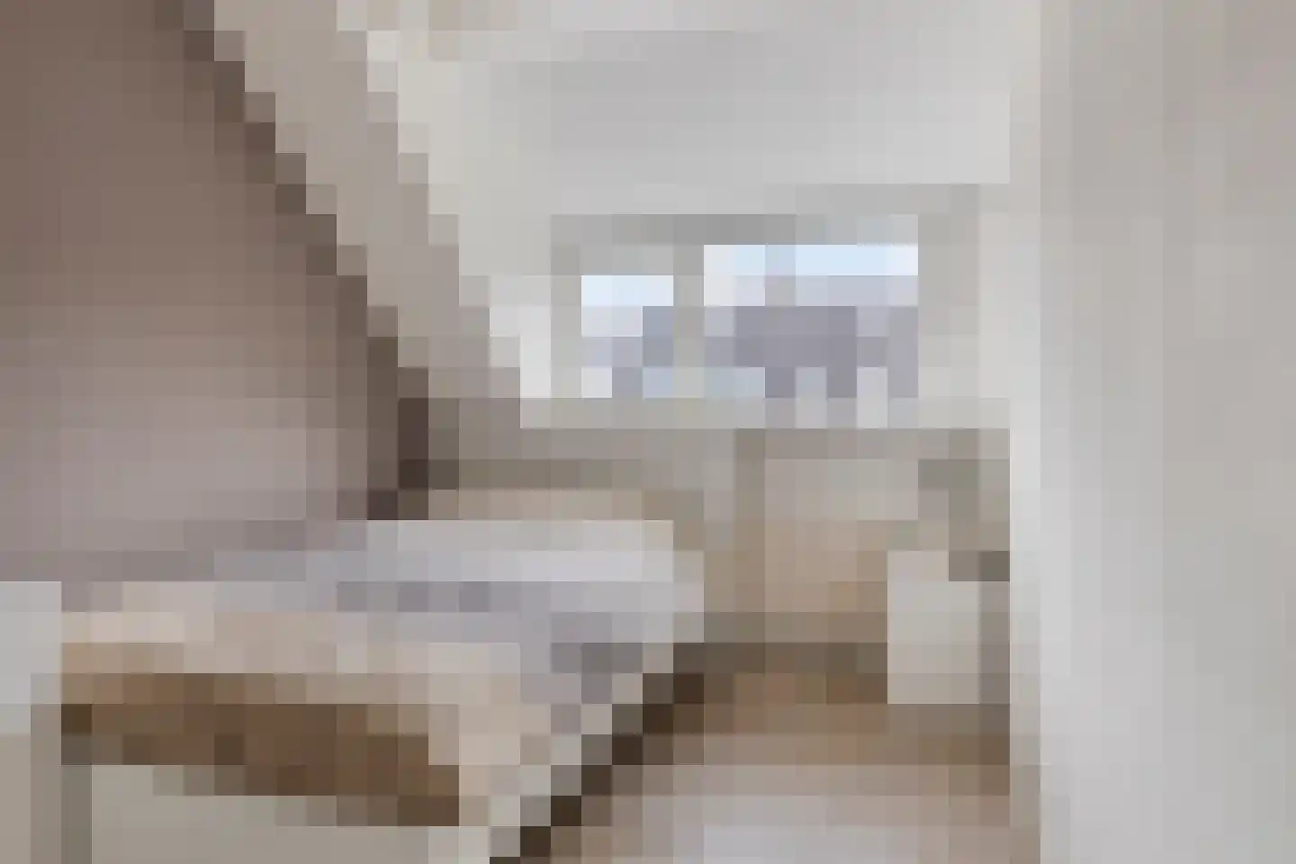 Diepenveenstraat 14 Tilburg thumbnail 20
