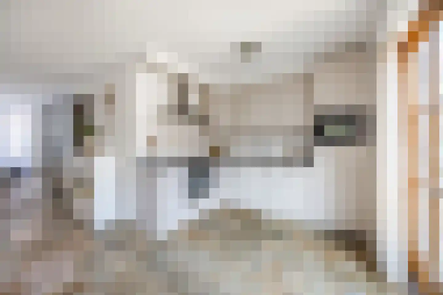 Diepenveenstraat 31 Tilburg thumbnail 12