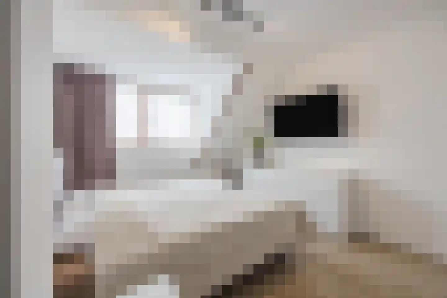 Diepenveenstraat 31 Tilburg thumbnail 18