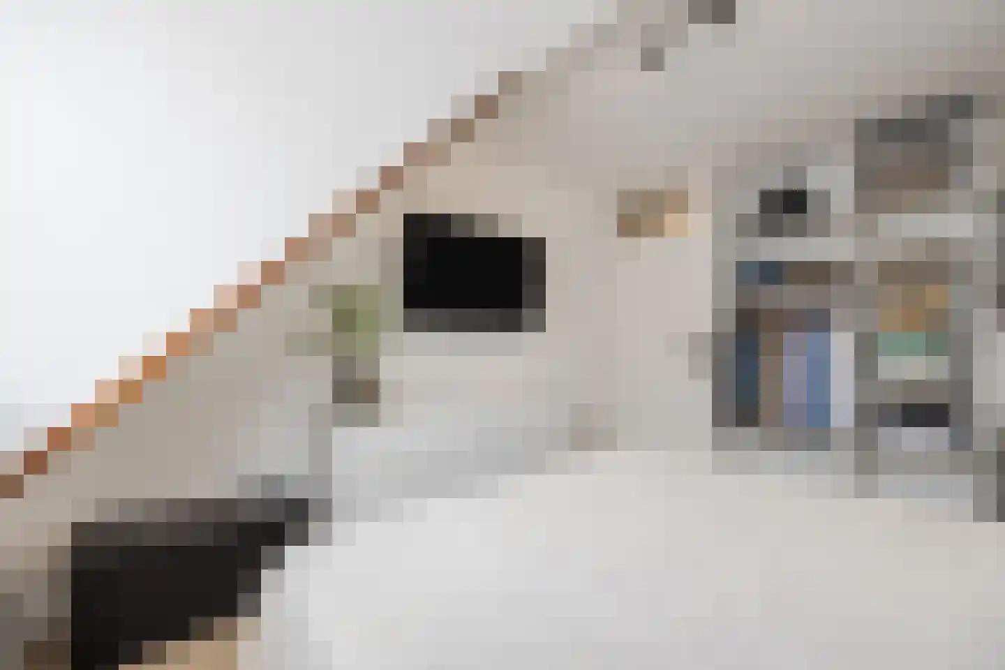 Diepenveenstraat 31 Tilburg thumbnail 19