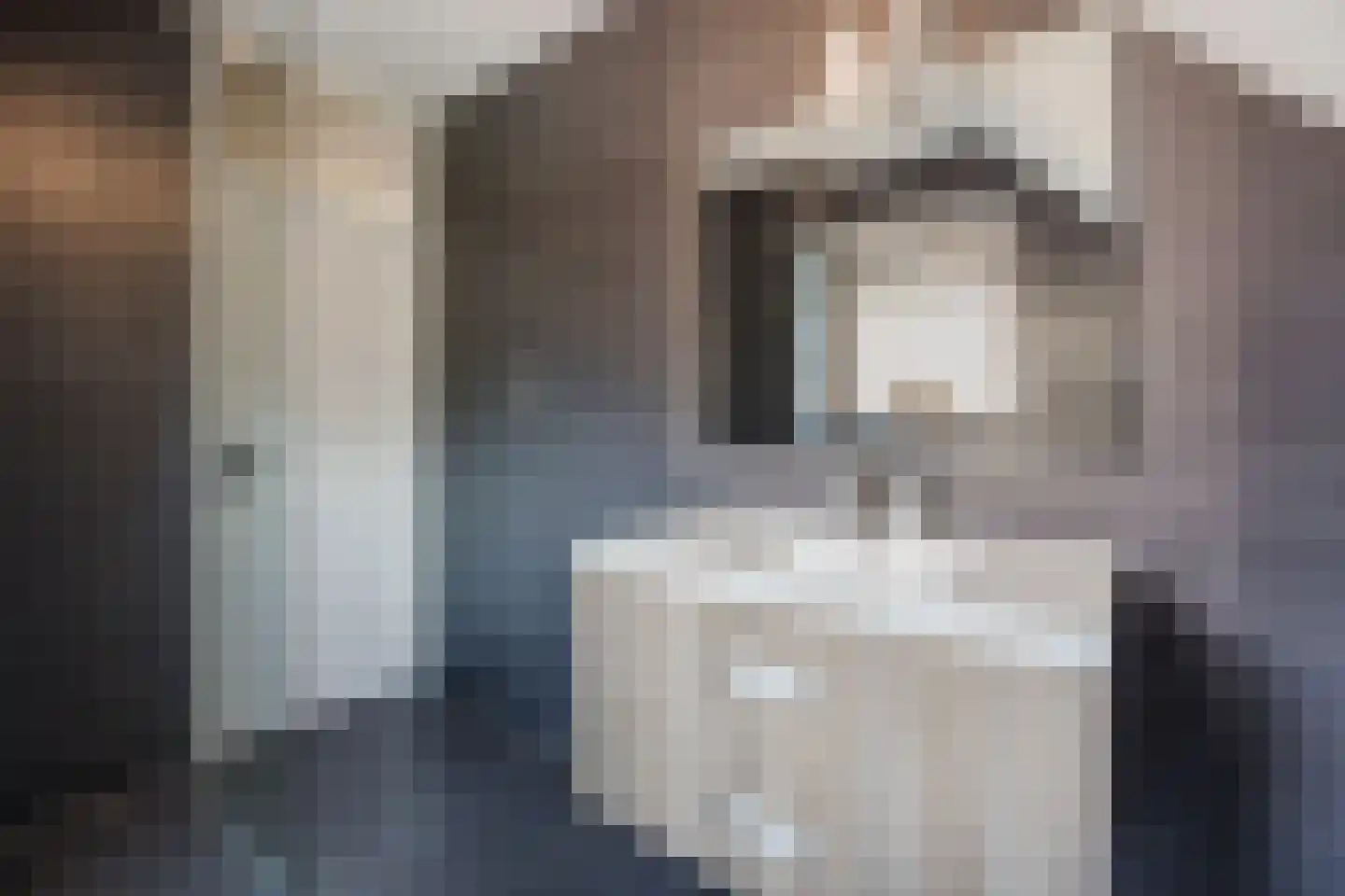 Diepenveenstraat 31 Tilburg thumbnail 26