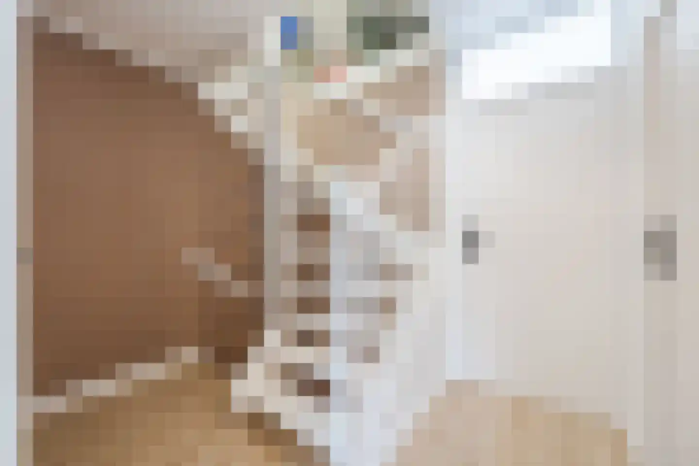 Diepenveenstraat 31 Tilburg thumbnail 28