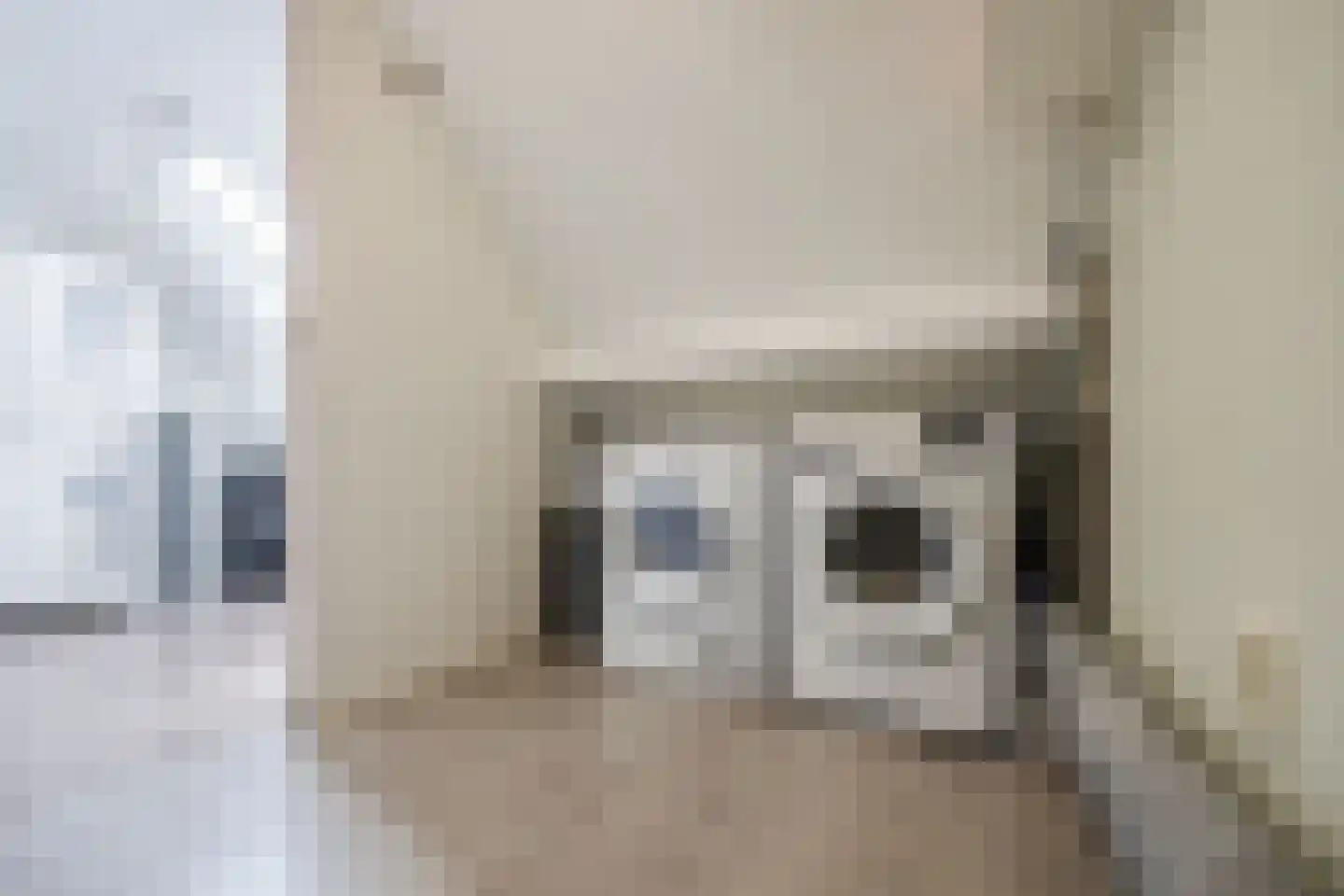 Diepenveenstraat 31 Tilburg thumbnail 30