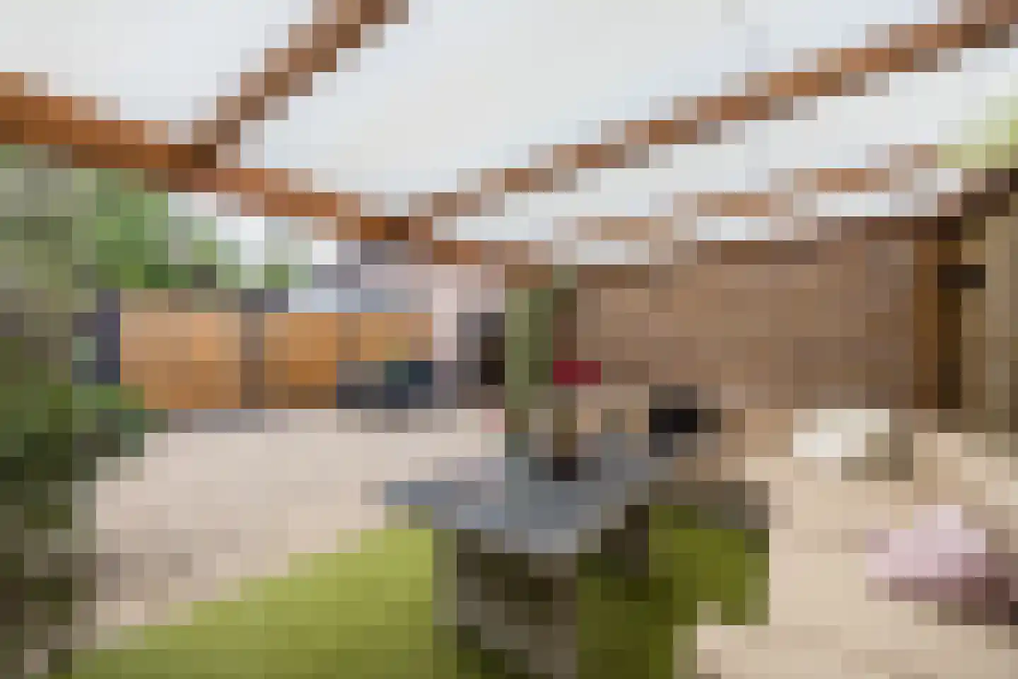 Diepenveenstraat 31 Tilburg thumbnail 38
