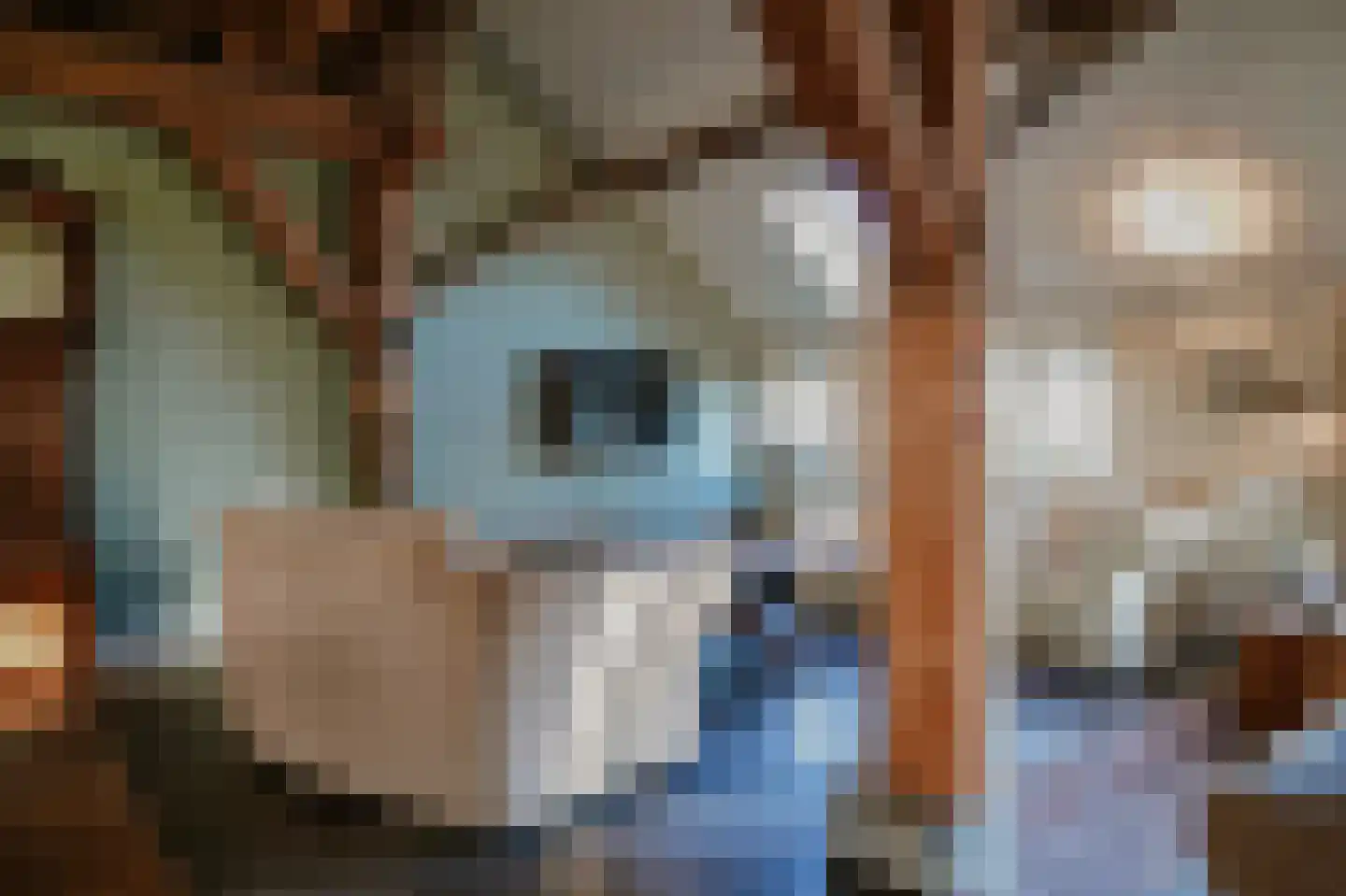 Diepersestraat 1 Neerijnen thumbnail 12