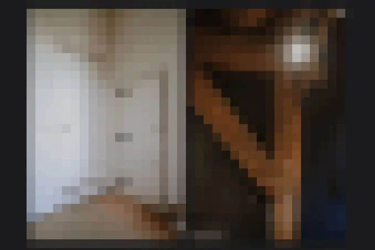 Diepersestraat 1 Neerijnen thumbnail 22