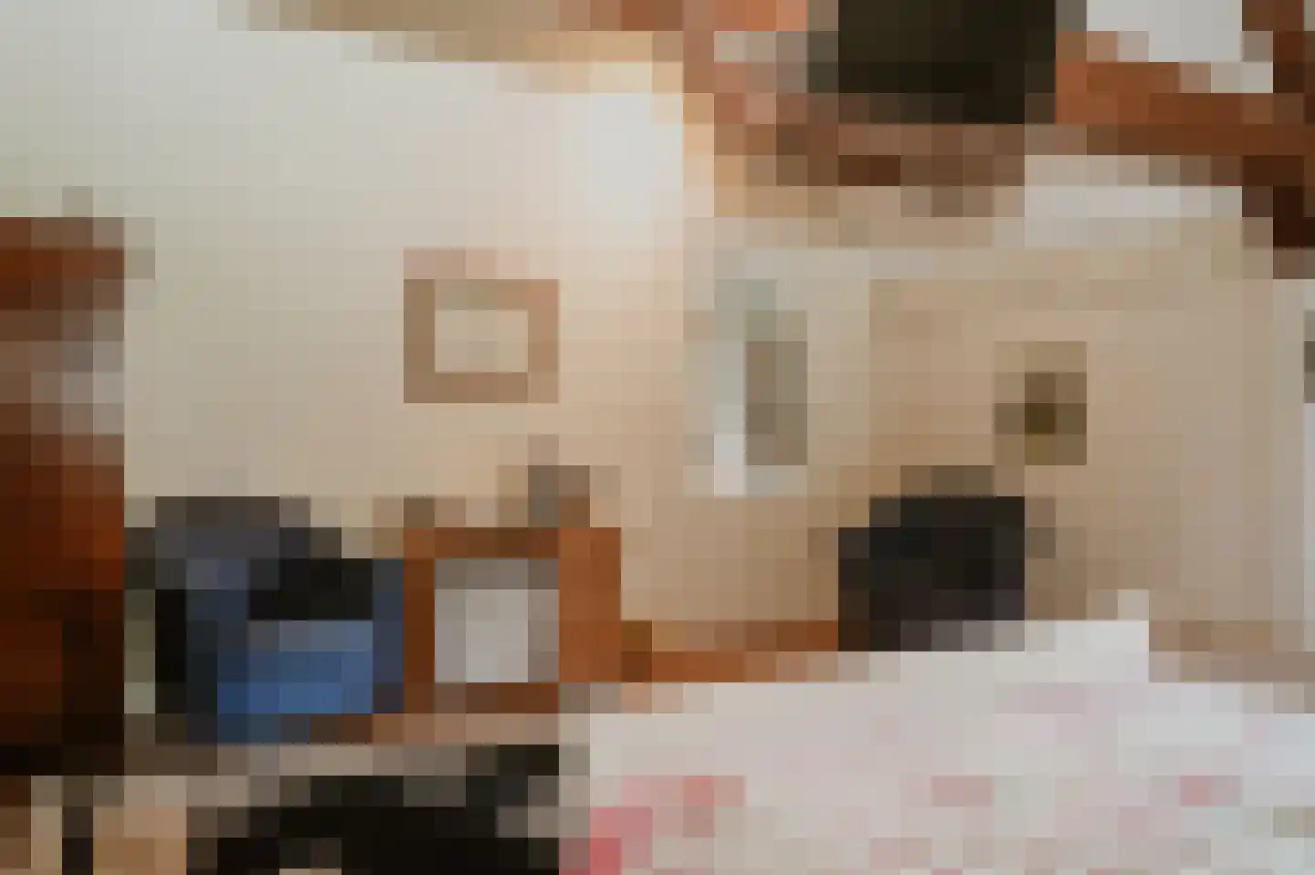 Diepersestraat 1 Neerijnen thumbnail 32