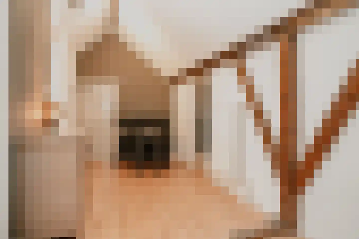 Diepersestraat 1 Neerijnen thumbnail 36
