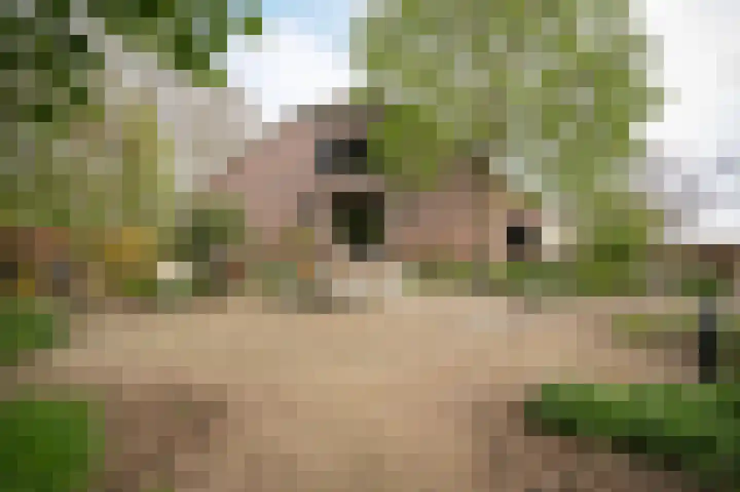 Diepersestraat 1 Neerijnen thumbnail 4