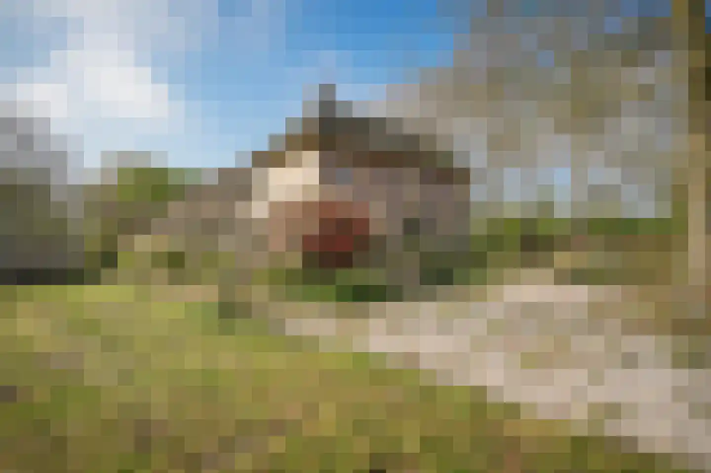 Diepersestraat 1 Neerijnen thumbnail 40