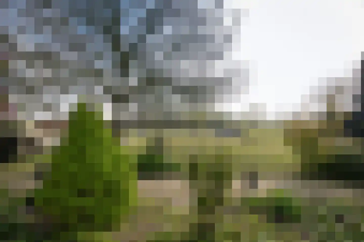 Diepersestraat 1 Neerijnen thumbnail 49