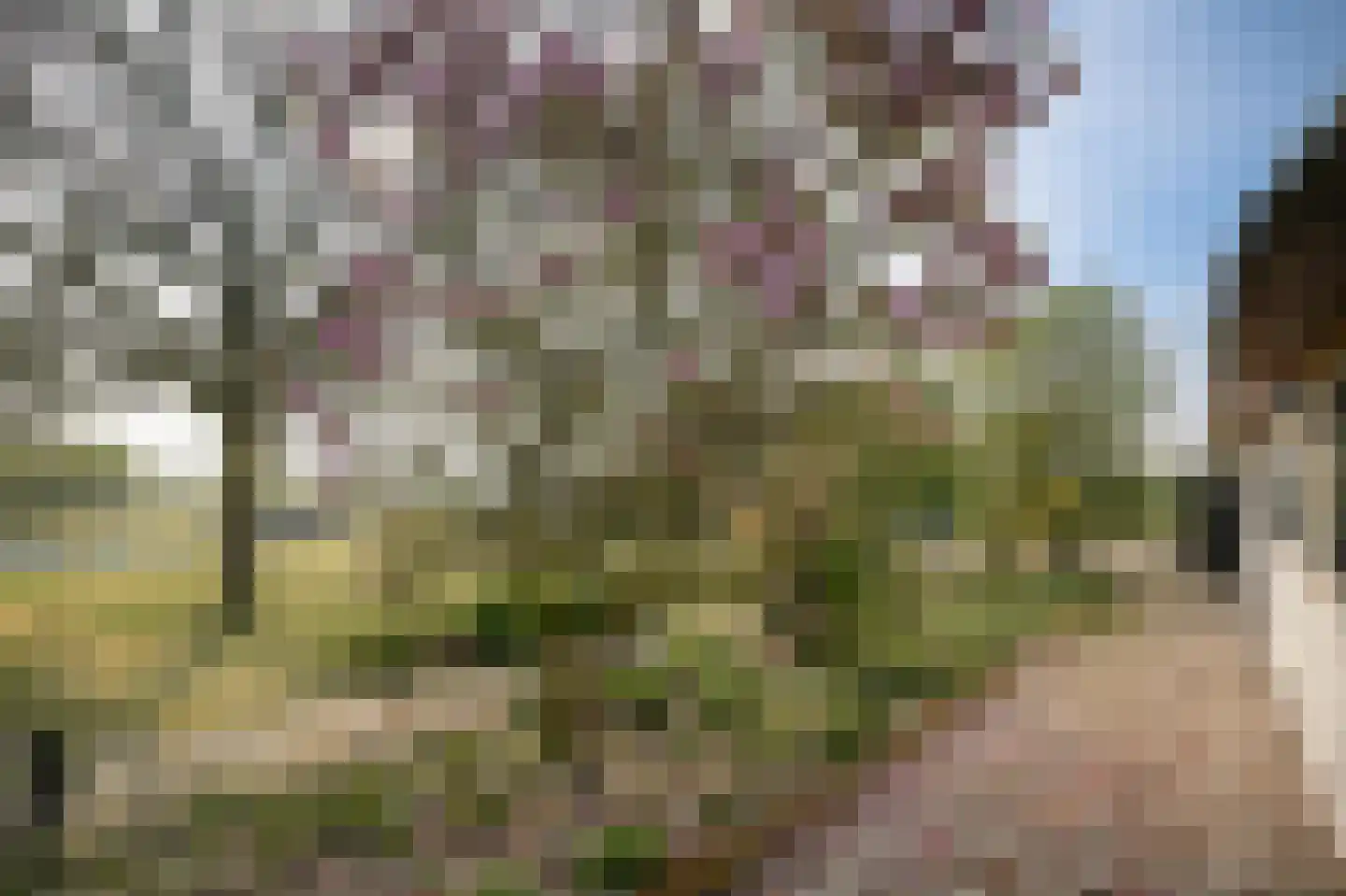 Diepersestraat 1 Neerijnen thumbnail 52