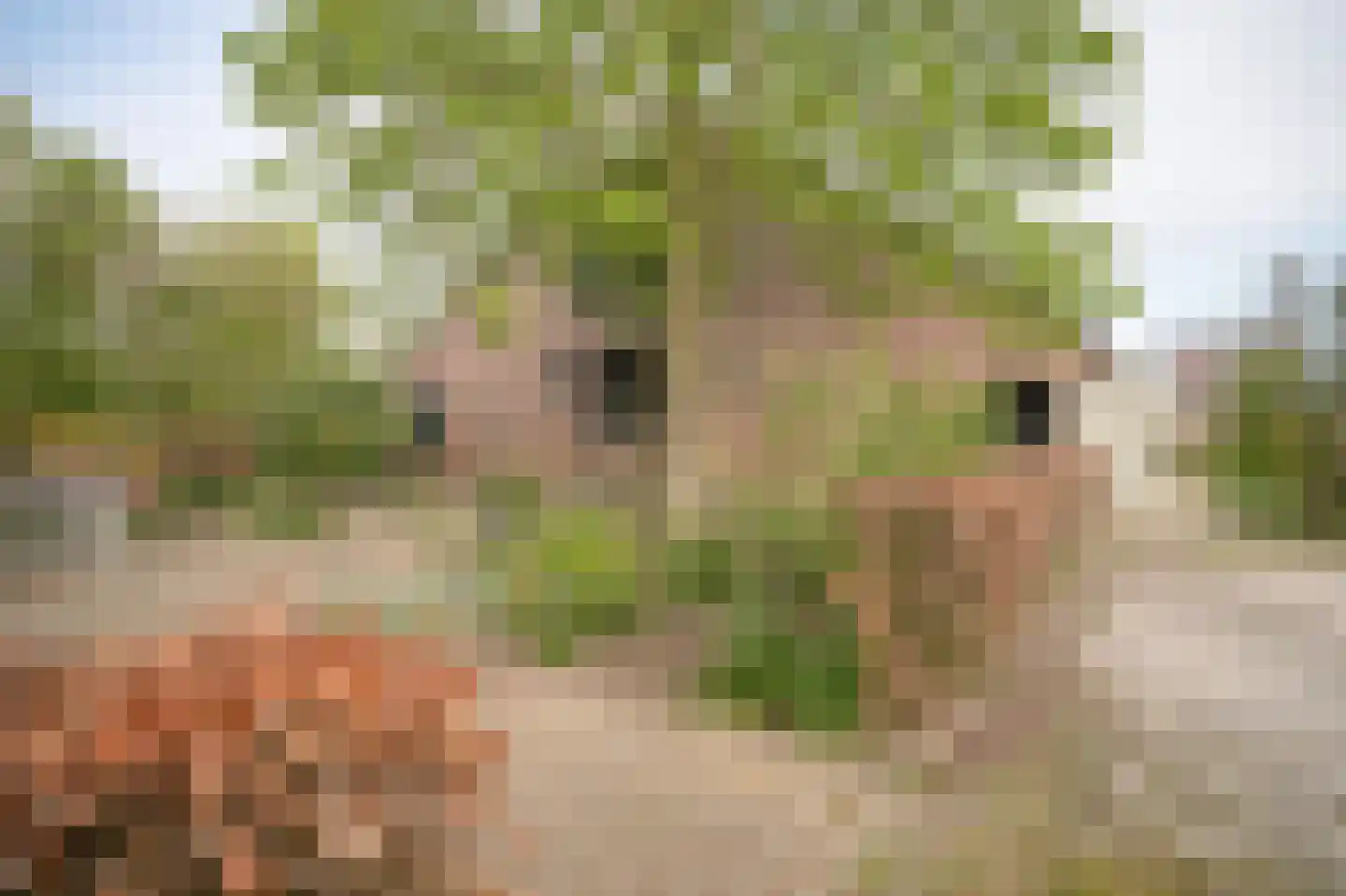Diepersestraat 1 Neerijnen thumbnail 69