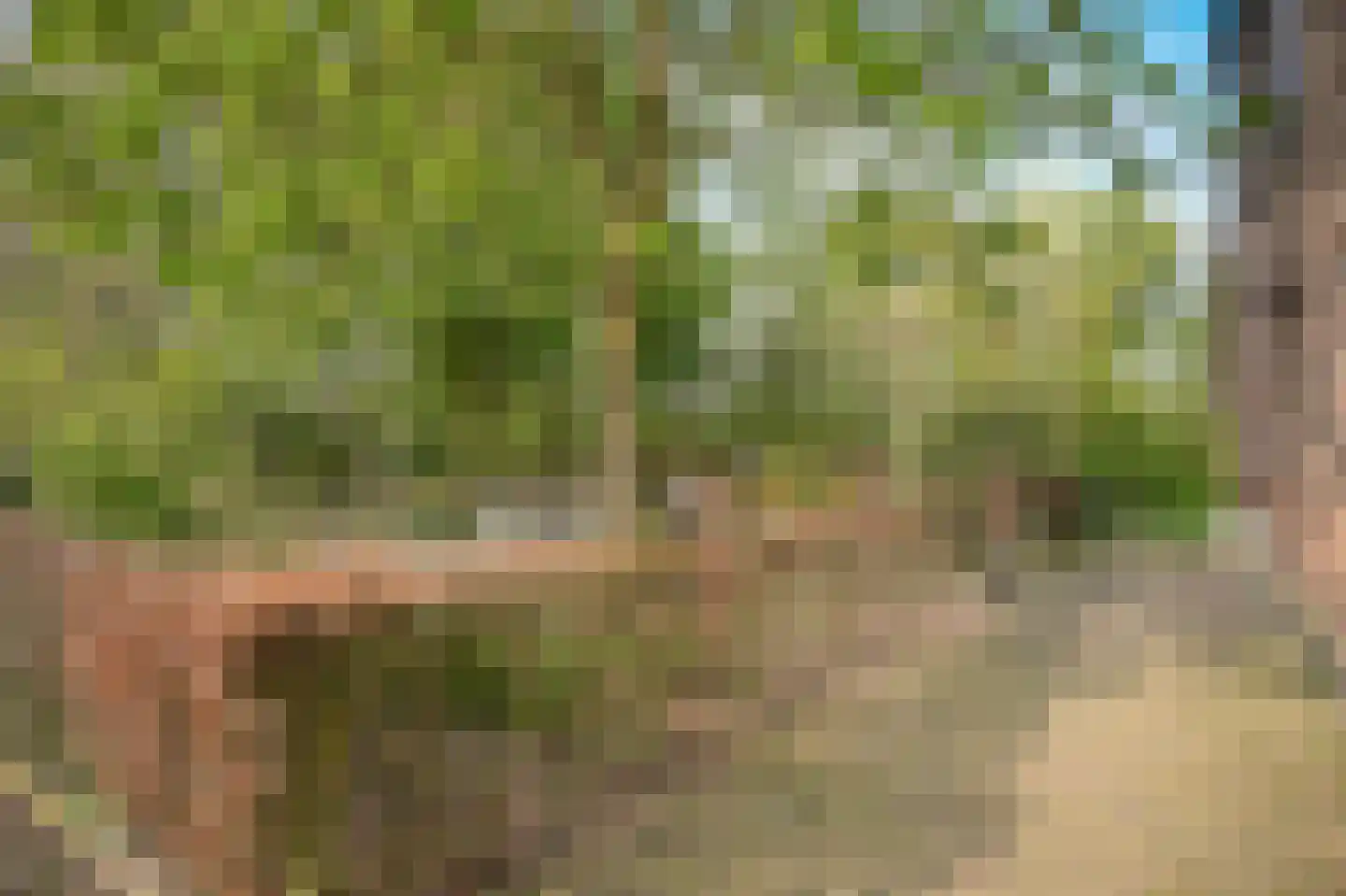 Diepersestraat 1 Neerijnen thumbnail 70
